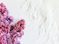 Lilac flowers and white feather on a white textured background. Flower frame, free space for your text or product. Tenderness