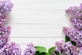 Lilac flowers on white wooden background