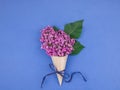 Lilac flowers in a cone with a ribbon. Royalty Free Stock Photo