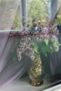 Lilac gadern flowers