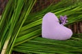 Lilac heart on green grass