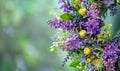 Lilac and laburnum flowers arranged in a wreath, closeup view, bokeh background Royalty Free Stock Photo