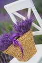 Lilac Lavender flowers in a wicker basket. Royalty Free Stock Photo