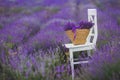 Lilac Lavender Flowers In A Wicker Basket.