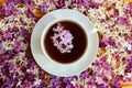 Cup of tea on a background of a wooden table and spring lilac Royalty Free Stock Photo