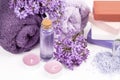 Lilac nature cosmetics, handmade preparation of essential oils, perfume, creams, soaps from fresh and lilac flowers Royalty Free Stock Photo