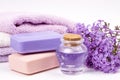 Lilac nature cosmetics, handmade preparation of essential oils, perfume, creams, soaps from fresh and lilac flowers Royalty Free Stock Photo