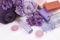 Lilac nature cosmetics, handmade preparation of essential oils, perfume, creams, soaps from fresh and lilac flowers Royalty Free Stock Photo