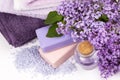 Lilac nature cosmetics, handmade preparation of essential oils, perfume, creams, soaps from fresh and lilac flowers Royalty Free Stock Photo