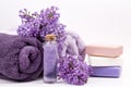 Lilac nature cosmetics, handmade preparation of essential oils, perfume, creams, soaps from fresh and lilac flowers Royalty Free Stock Photo