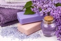 Lilac nature cosmetics, handmade preparation of essential oils, perfume, creams, soaps from fresh and lilac flowers Royalty Free Stock Photo