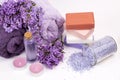 Lilac nature cosmetics, handmade preparation of essential oils, perfume, creams, soaps from fresh and lilac flowers Royalty Free Stock Photo