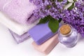 Lilac nature cosmetics, handmade preparation of essential oils, perfume, creams, soaps from fresh and lilac flowers Royalty Free Stock Photo