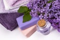 Lilac nature cosmetics, handmade preparation of essential oils, perfume, creams, soaps from fresh and lilac flowers Royalty Free Stock Photo