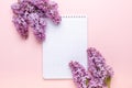 Lilac and notepad on pink background. Still life. Spring romantic mood. Top view. Copy space Royalty Free Stock Photo