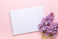 Lilac and notepad on pink background. Still life. Spring romantic mood. Top view. Copy space Royalty Free Stock Photo