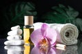 Lilac orchid flower, clear bottle of yellow oil, wooden sticks and towel with white stones and monstera on black surface Royalty Free Stock Photo