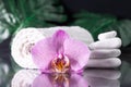 Lilac orchid flower, rolled towel and stack of white stones with monstera leaves, on black surface. SPA salon Royalty Free Stock Photo