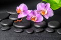 Lilac orchid phalaenopsis, zen stones Royalty Free Stock Photo