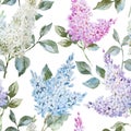 Lilac pattern Royalty Free Stock Photo
