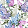 Lilac pattern Royalty Free Stock Photo