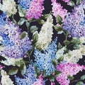 Lilac pattern Royalty Free Stock Photo