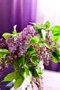 Lilac flower bouquet on purple background Royalty Free Stock Photo