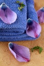 Lilac purple towels and flower petals Royalty Free Stock Photo