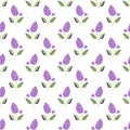 Lilac seamless pattern