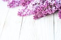 Lilac spring flowers bunch on white wood background, closeup. Spring blossom. Soft focus