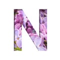 Lilac spring flowers font. The letter N cut out of white on the background of bright spring flowers of lilac. Set of decorative