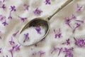 Lilac Sugar In Spoon And Plate On WoodenTable