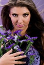 Lilac symphony Royalty Free Stock Photo