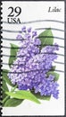 Lilac. Syringa lilac is a genus of 12 currently recognized species of flowering woody plants in the olive family Oleacea