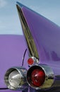 Lilac tail fin Royalty Free Stock Photo