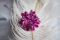 Lilac violet flowers on a white ostrich feather. A lilac luck - flower with five petals among the four-pointed flowers of bright