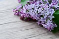 Lilac flower bouquet on wooden background Royalty Free Stock Photo