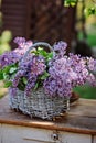 Lilacs bouquet in basket on vintage bureau in spring garden Royalty Free Stock Photo