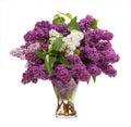 Lilacs in a glass vase Royalty Free Stock Photo