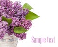 Lilacs in a glass vase Royalty Free Stock Photo
