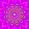 Lilas pink vibrant mandala