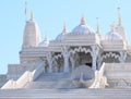 Peacock on Hindu Temple