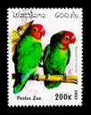 Lilian's Lovebird (Agapornis lilianae), Parrots serie, circa 199 Royalty Free Stock Photo
