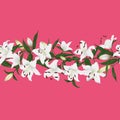 Lilies active pink horizontal seamless vector banner