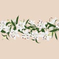 Lilies almond horizontal seamless vector banner Royalty Free Stock Photo