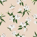 Lilies almond seamless vector background Royalty Free Stock Photo