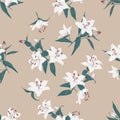 Lilies almond seamless vector background Royalty Free Stock Photo
