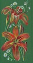Lilies drawing in color pencils. Illustration for decor.