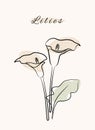 Lilies floral botanic nature line art hand drawn with abstract grunge organic shapes