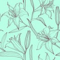 Lilies floral seamless pattern